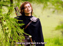 Willow Kit Tanthalos GIF - Willow Kit Tanthalos Have You Ever Been In A Fight GIFs