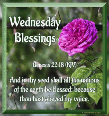 Wednesday Blessings GIF - Wednesday Blessings Good GIFs