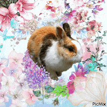 Rabbit Bunny GIF - Rabbit Bunny Watercolors GIFs