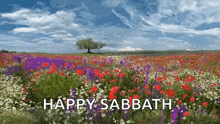 a field of flowers with a tree in the background and the words happy sabbath