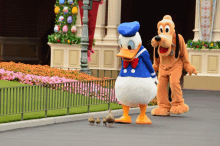 Duck Donald Duck GIF - Duck Donald Duck GIFs