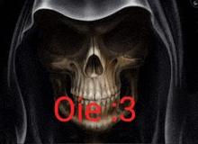 a grim reaper with a hood and a skull with the number 3 written on it .