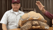 Pet Its Time For Turtles GIF - Pet Its Time For Turtles Good Boy GIFs