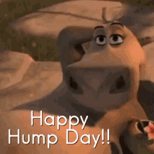 Humpday Happy GIF - Humpday Happy Wednesday GIFs