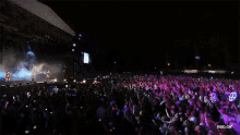 a crowd of people at a concert with a rbd.gif on the bottom