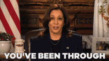 Youve Been Through A Lot This Year Kamala Harris GIF