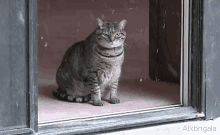 Pissed GIF - Winter Snowfall Cat GIFs