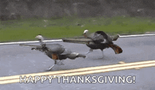 two turkeys are running down a road with guns .