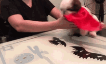 Typical Day With Pearl The Real Paningning GIF - Typical Day With Pearl The Real Paningning Paningning GIFs