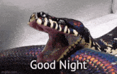 Snake Good Night GIF - Snake Good Night Boa GIFs