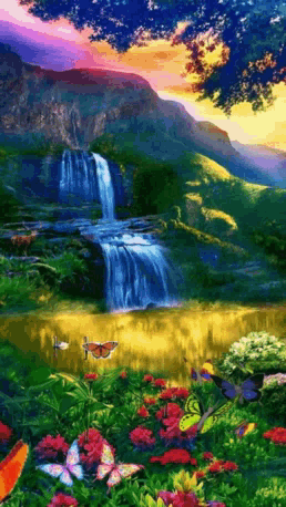 untitled.gif