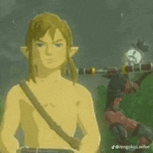 Link Zelda GIF - Link Zelda Oh No GIFs