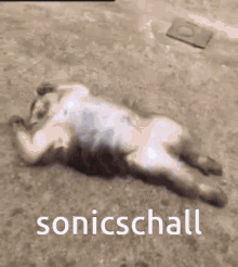 Sonicshall GIF - Sonicshall GIFs