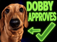 a dachshund in front of a sign that says " dobby approves "