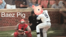 Baez Pig GIF