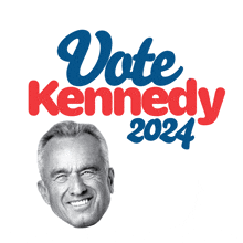 Vote Kennedy Rfkjr GIF