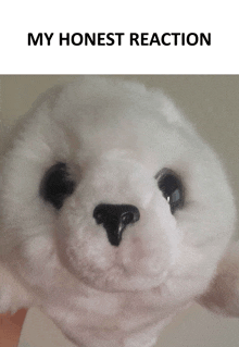 a stuffed animal with the words " my honest reaction " written above it