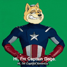 Amercian Captain Doge GIF - Amercian Captain Doge Dogc GIFs