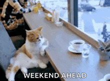 a cat is sitting at a table with a cup of coffee and the words weekend ahead .