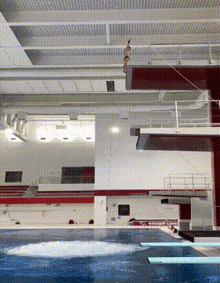 Ouch Belly GIF - Ouch Belly Flop GIFs