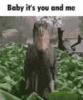 a bird standing in a field with the words baby it 's you and me on the bottom