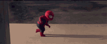 Spiderman Kid Dance GIF - Spiderman Kid Dance Swag GIFs