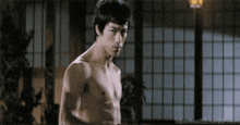 Real Man Shit Bruce Lee Nose Flicker GIF - Real Man Shit Bruce Lee Nose Flicker Bruce Lee Wipes Nose GIFs