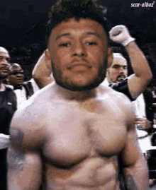 Ox Mike Tyson GIF - Ox Mike Tyson Boxing GIFs
