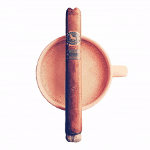 coffee cigar stogie