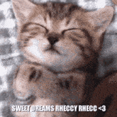 Rhecca Good Night GIF - Rhecca Good Night Gn GIFs
