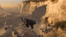 a group of birds are flying over a cliff