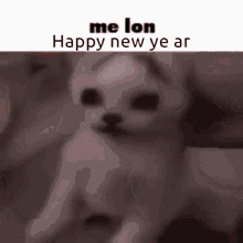 Me Lon Cat Happy New Year GIF - Me Lon Cat Me Lon Happy New Year GIFs