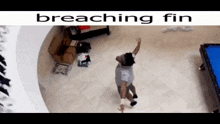 a man in a grey shirt is breaching fin
