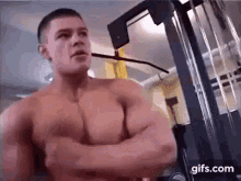 Pecs Muscle Tits GIF - Pecs Muscle Tits Alexey Lesukov GIFs