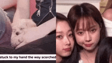 a couple of girls are sitting next to each other and one of them is holding a puppy .