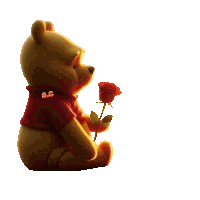 a winnie the pooh bear is holding a red rose with a.c. written on his collar