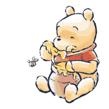 bear winnie