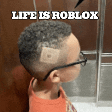 Life Is Roblox Roblox GIF - Life Is Roblox Roblox GIFs