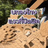 a cat is sitting in a cardboard sculpture with a purple and white sticker that says ' uaa '