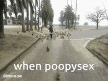 Poopysex Poopsex GIF - Poopysex Poopsex Bunnies GIFs