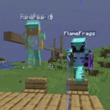 two minecraft characters are standing next to each other and one has a sword and the other has a shield .