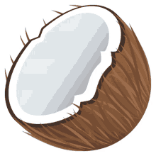 coconut coco