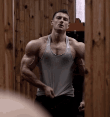 bodybuilder bodybuilding muscle muscles