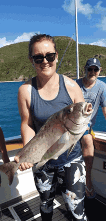 Whitehaven Hill Inlet Tours Reef Fishing Charters Airlie Beach GIF