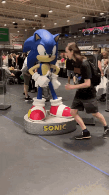 Sonic Con GIF - Sonic Con Convention GIFs
