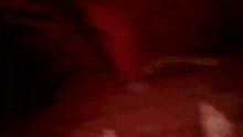 a close up of a red and white striped fabric