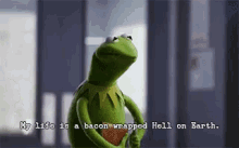 A Bit Dark GIF - The Muppets Kermit The Frog My Life GIFs