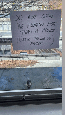 a sign on a window that says do not open the window more than a crack ( geese trying to enter )