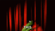 Kermit The Frog The Muppets GIF - Kermit The Frog Kermit The Muppets GIFs