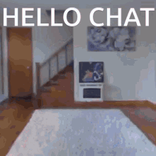 Hello Hi GIF - Hello Hi Chat GIFs